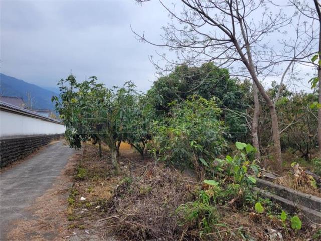 高雄六龜農地-2