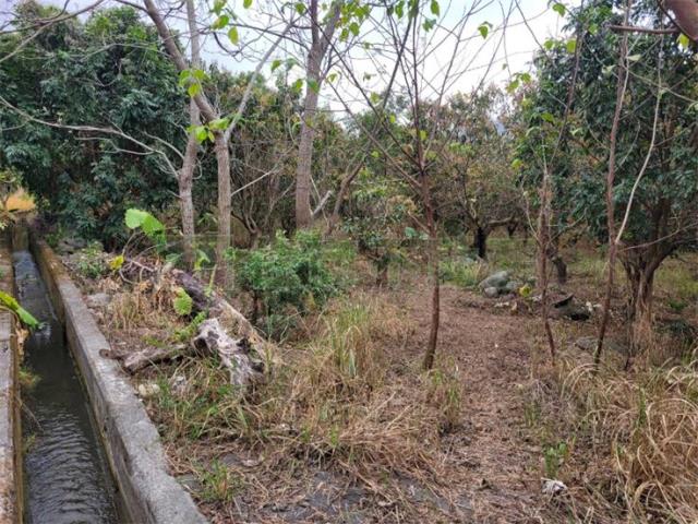 高雄六龜農地-6