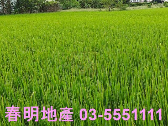 竹北農地-6