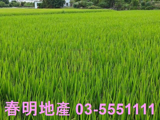 竹北農地-8