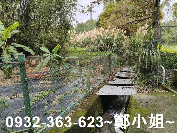 大溪農地-8