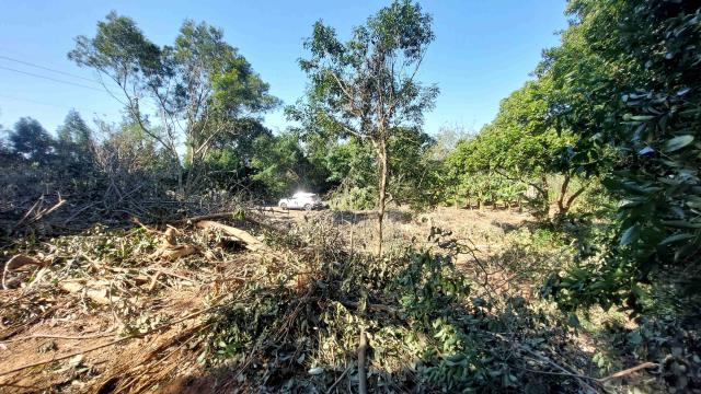 新竹新埔農地-10