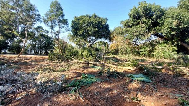 新竹新埔農地-1