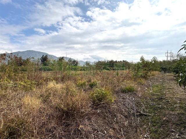 屏東枋山農地-12