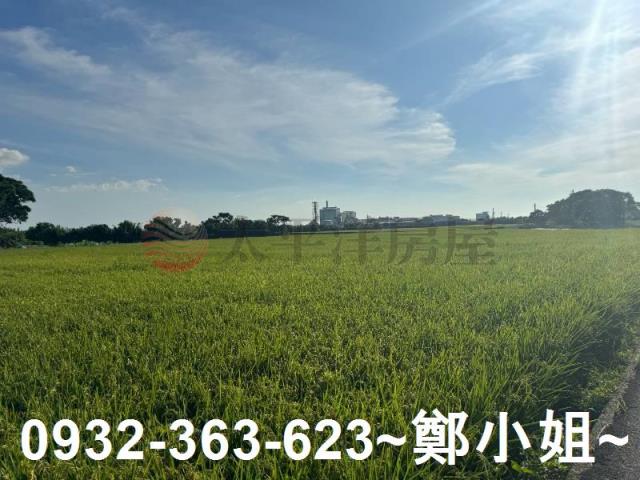 桃園新屋農地-13