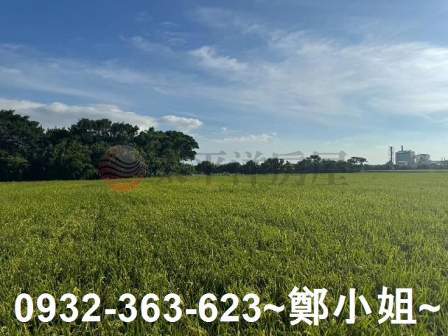 桃園新屋農地-3