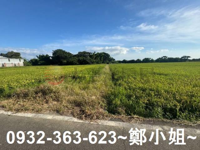 桃園新屋農地-7