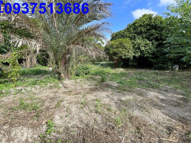 新竹竹北農地-14