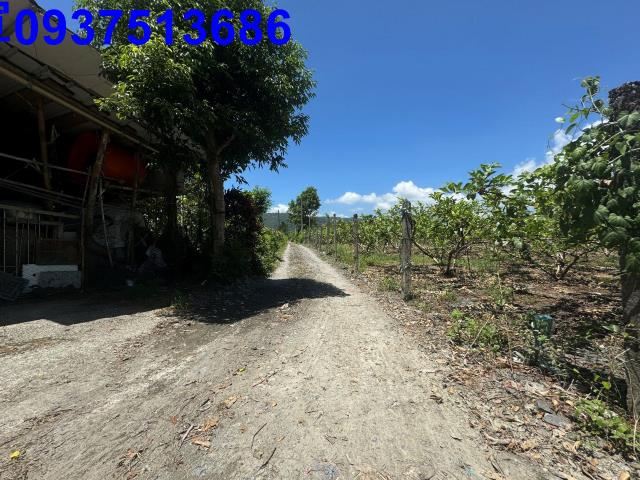 宜蘭礁溪農地-2