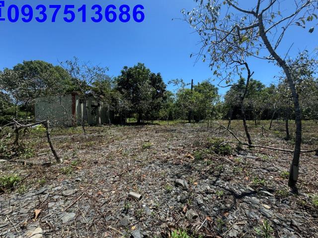 宜蘭礁溪農地-8