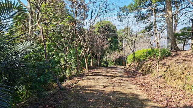 新竹橫山農地-10