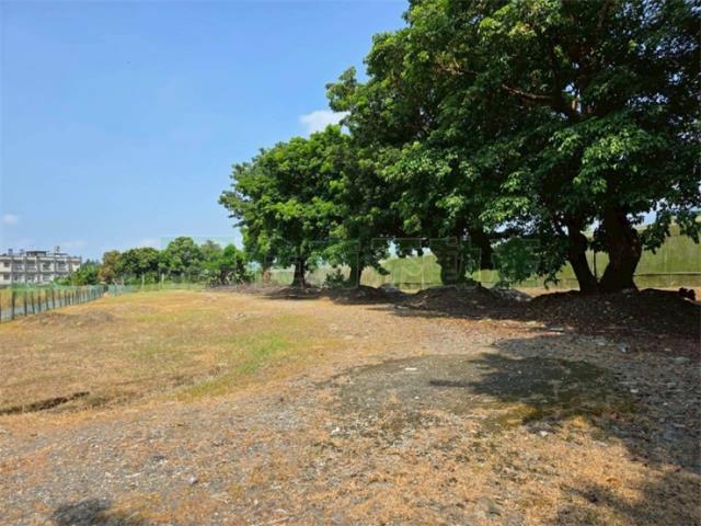 屏東高樹農地-10