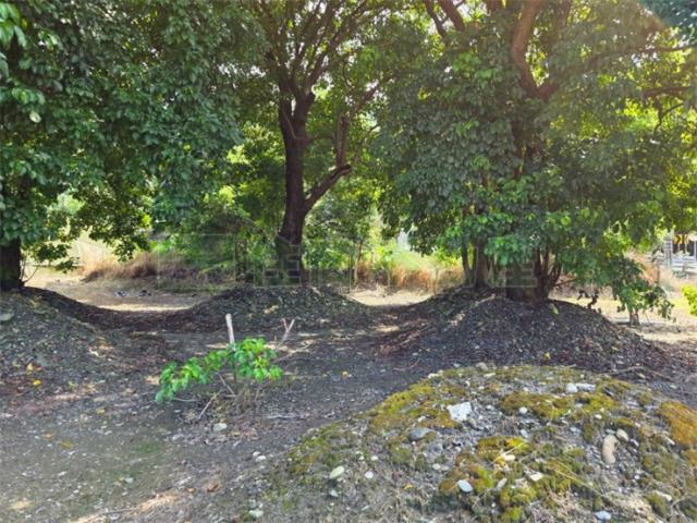 屏東高樹農地-11