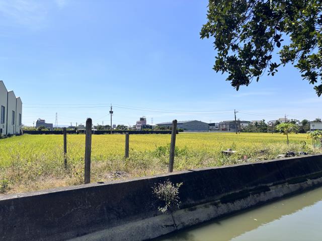 大寮農地-3