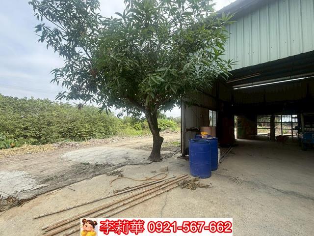 高雄路竹農地-4