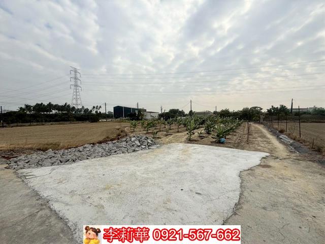 高雄路竹農地-5