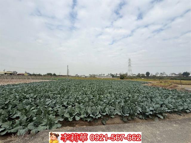 高雄路竹農地-7