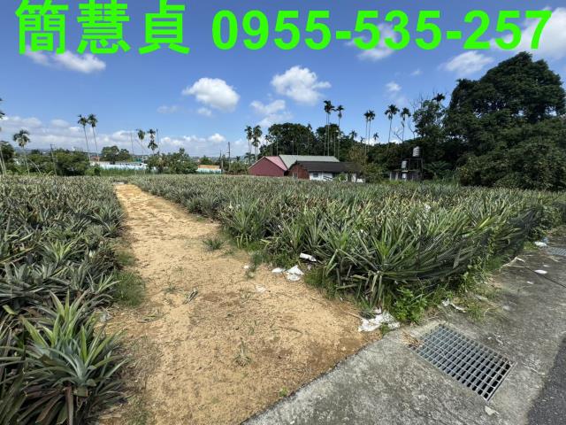 名間農地-5