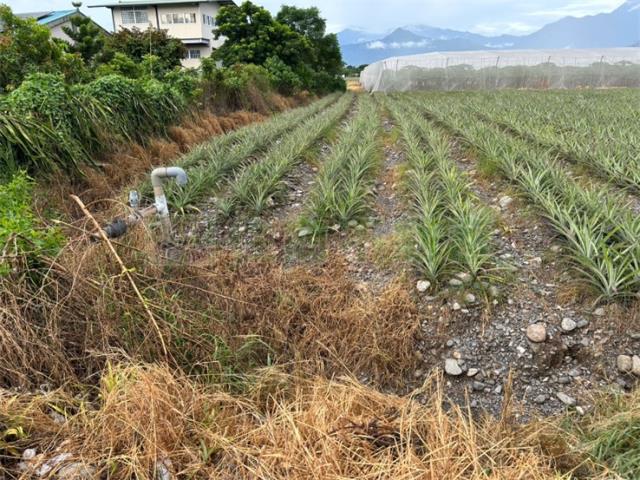 屏東農地-3