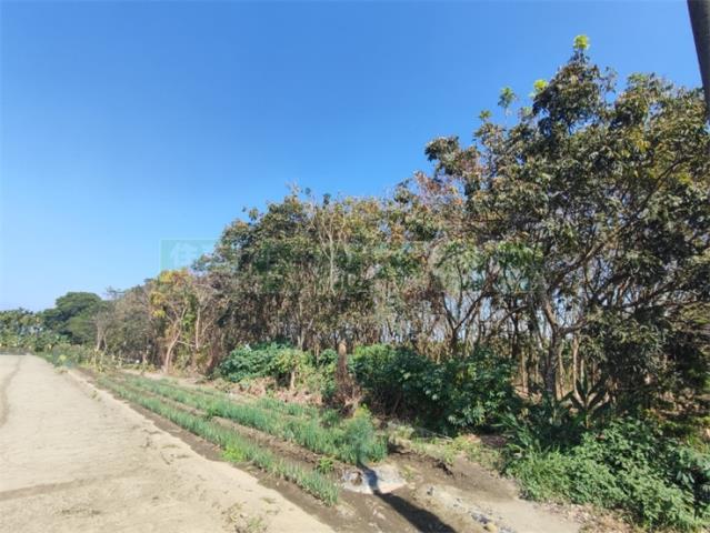 屏東農地-8