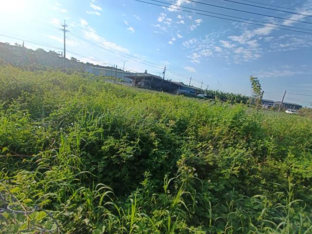 高雄農地-13