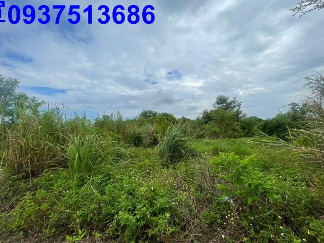 宜蘭宜蘭市農地-2