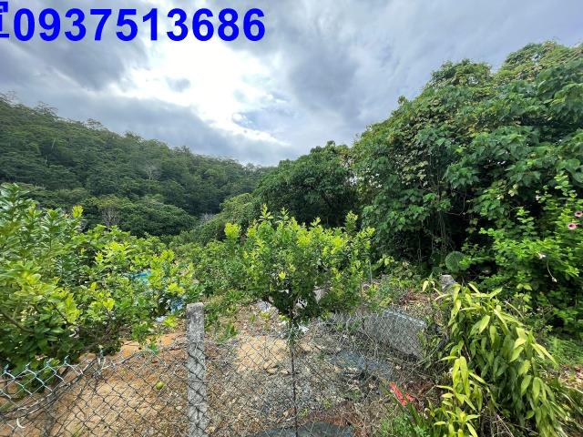 宜蘭員山農地-5