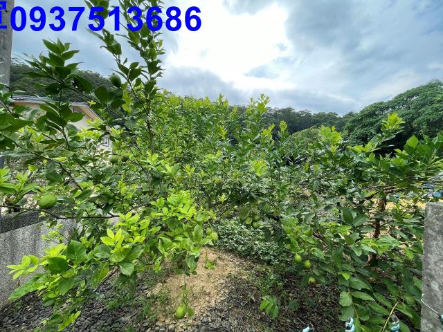 宜蘭員山農地-9