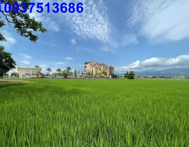 宜蘭礁溪農地-1