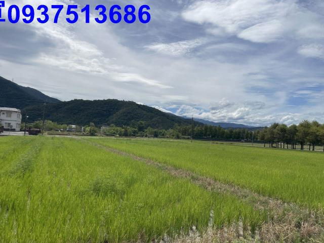 宜蘭冬山農地-4