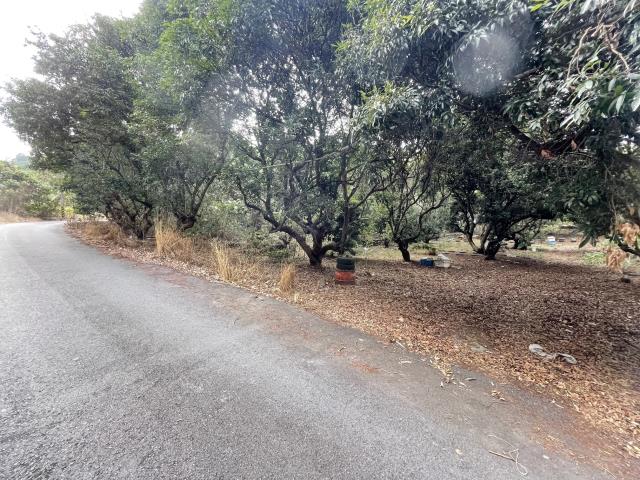 南投南投市農地-3