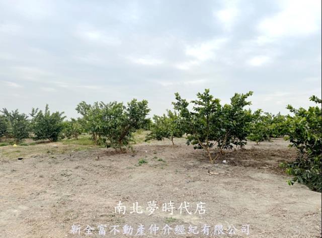 高雄湖內農地-3