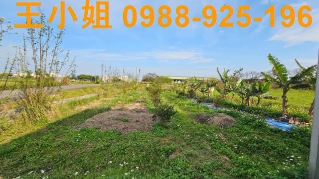 桃園中壢農地-3