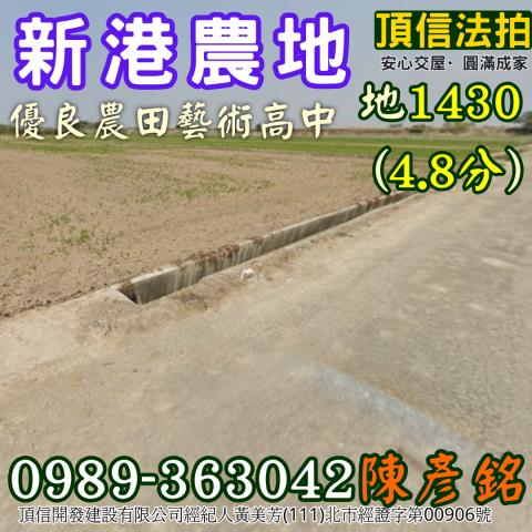 新港法拍農地-2