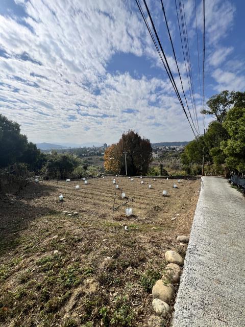 東勢農地-3