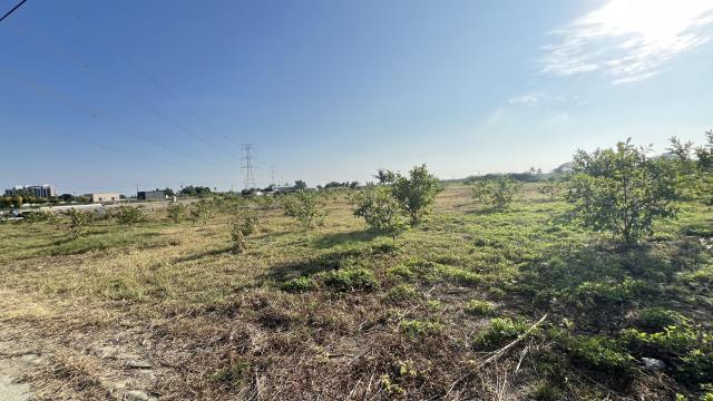 高雄湖內農地-12