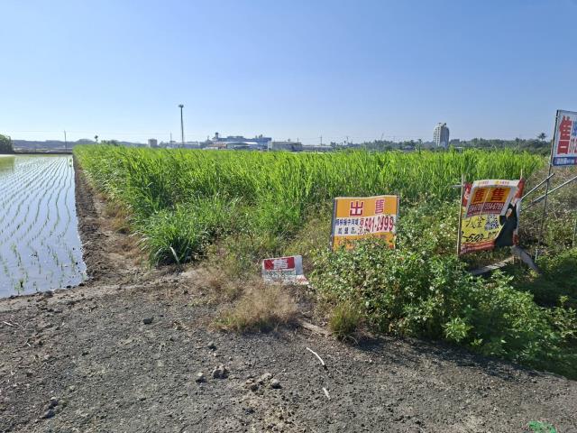 高雄橋頭農地-10
