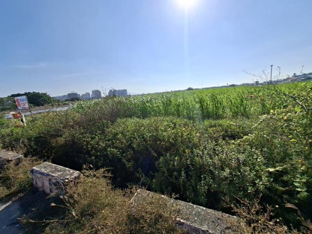 高雄橋頭農地-6