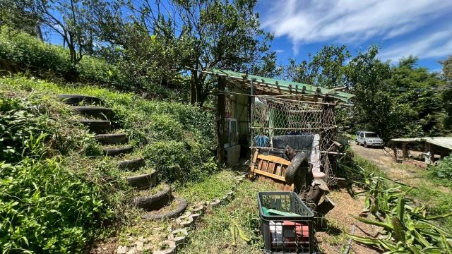 新竹峨眉農地-11