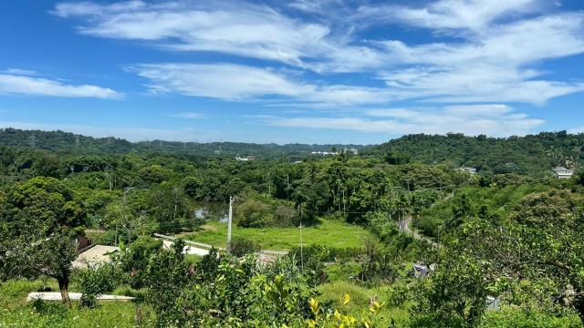 新竹峨眉農地-5