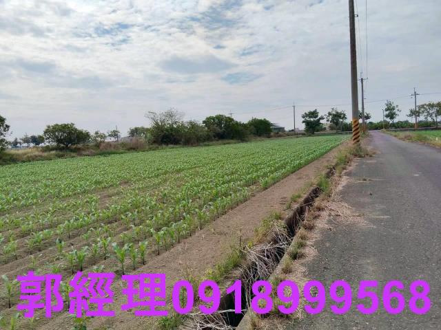台南農地-3