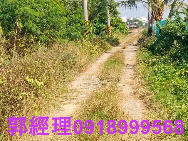 台南農地-11