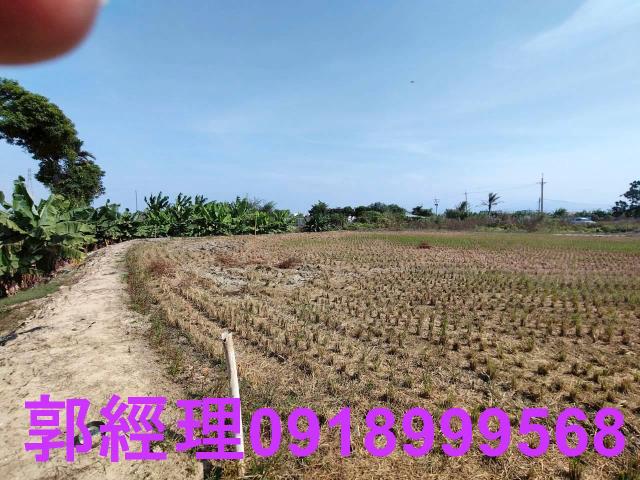 台南農地-1