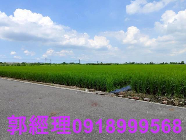 台南農地-9
