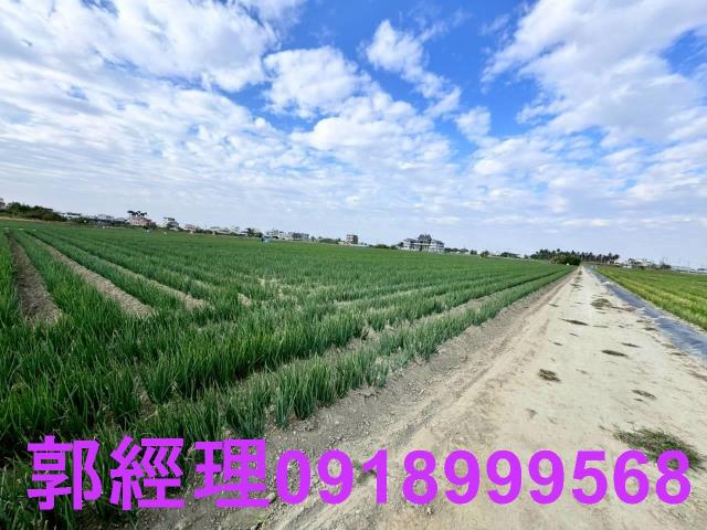 台南農地-3