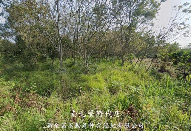 台南關廟農地-1