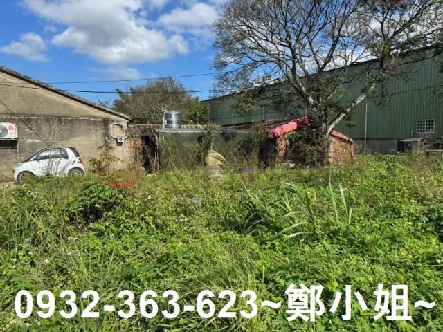 桃園大園農地-2