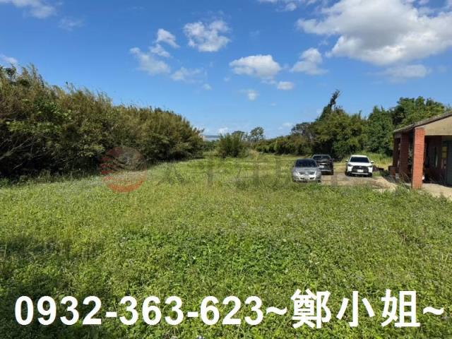 桃園大園農地-5