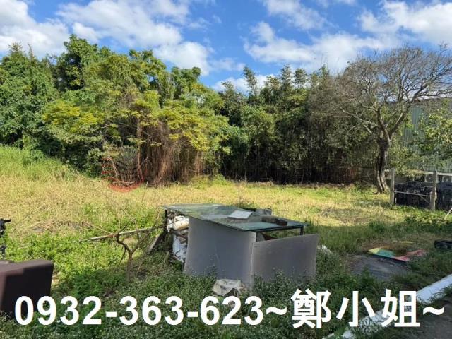 桃園大園農地-6