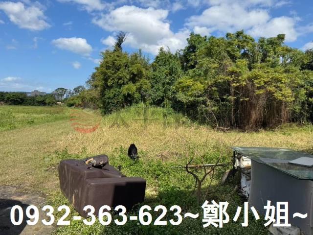 桃園大園農地-7